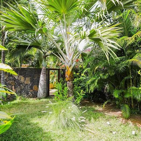 Villa Tropicale Balinaise Intimiste Grand Baie Bagian luar foto