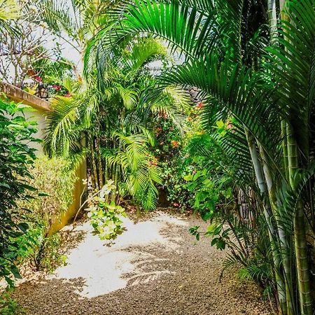 Villa Tropicale Balinaise Intimiste Grand Baie Bagian luar foto